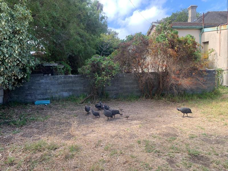 3 Bedroom Property for Sale in Plumstead Western Cape